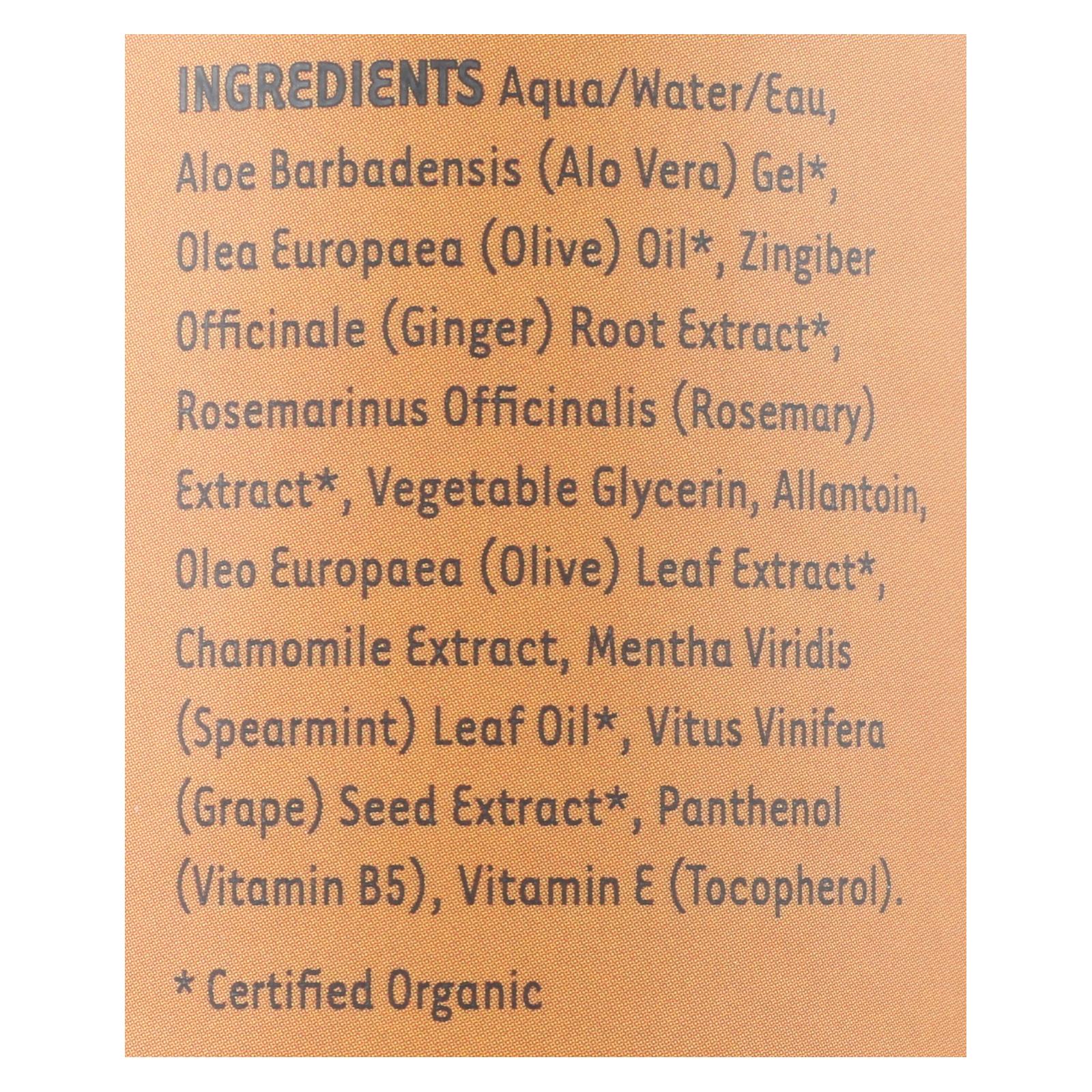 Organic Excellence Wild Mint Conditioner - 16 Oz