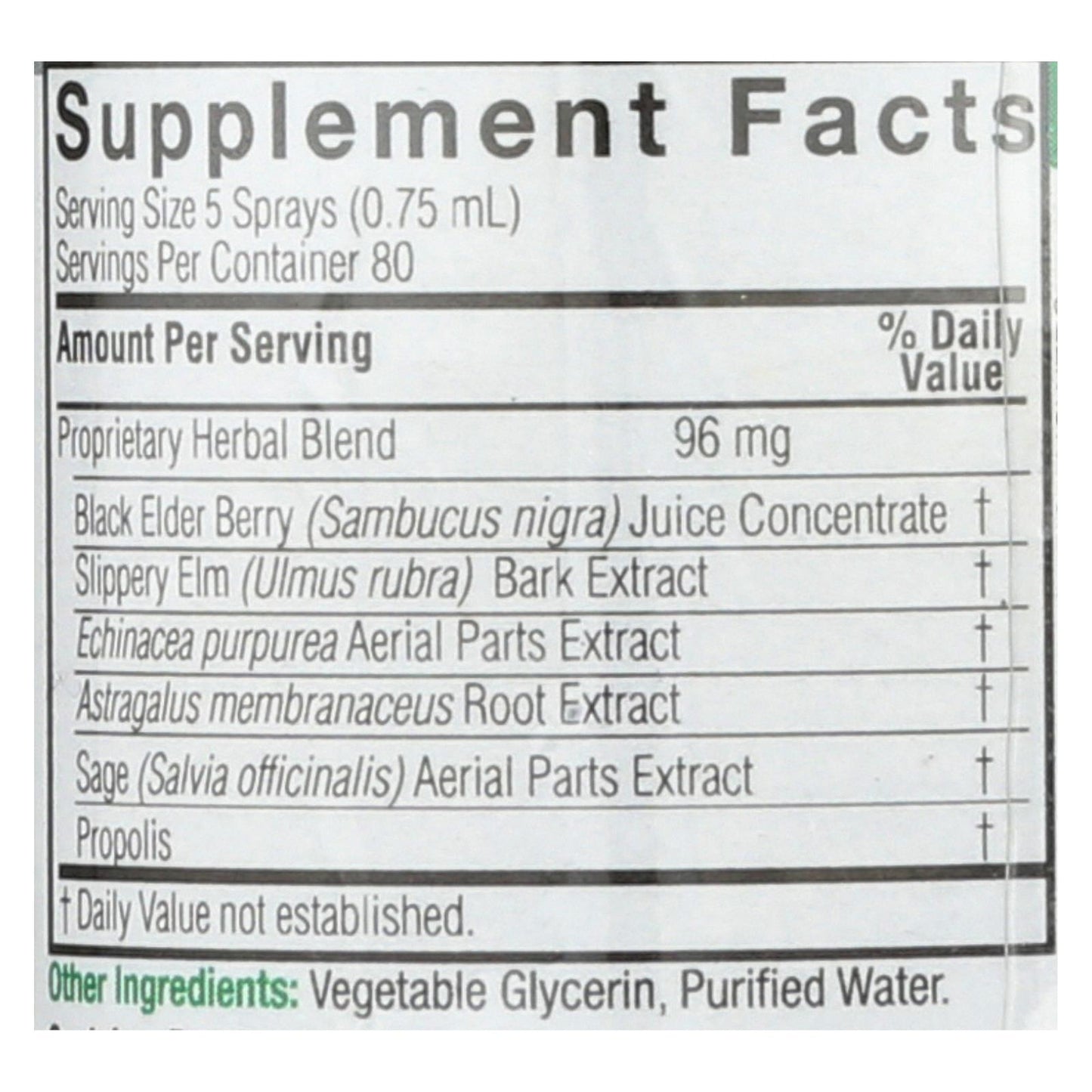 
                  
                    Nature's Answer Sambucus Nigra Black Elder Berry Extract Spray, 2 Fl Oz
                  
                