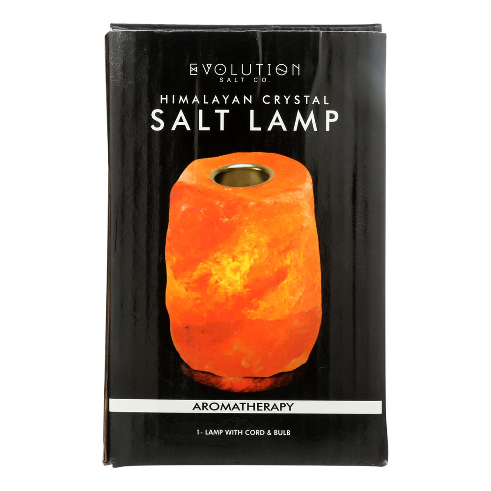 
                  
                    Evolution Salt Crystal Salt Lamp, Aromatherapy, 1 Count
                  
                